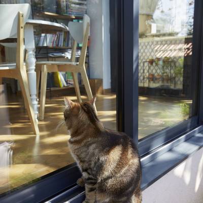 Extension sur jardin d'une maison en basse ville de Chartres 7